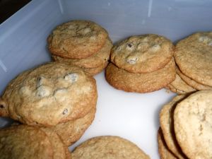 [chocolate-chip-cookies]